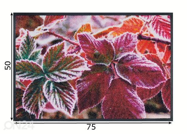 Matto FROZEN LEAVES 50x75 cm mitat