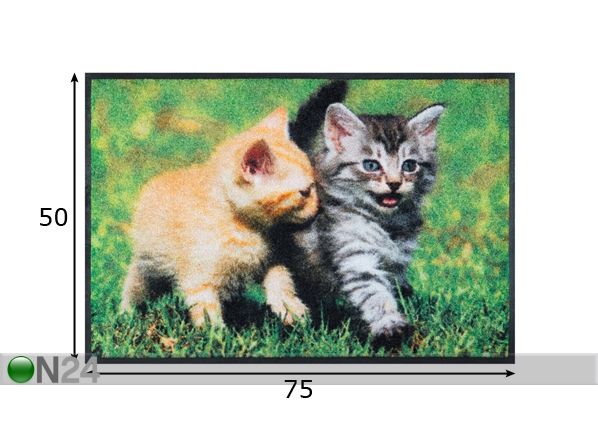 Matto LOVELY CATS 50x75 cm mitat