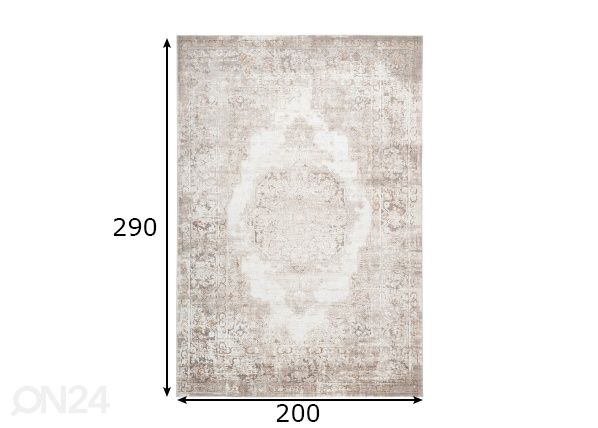 Matto Pierre Cardin Paris Taupe 200x290 cm mitat