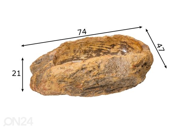 Pesuallas kivettynyttä puuta mitat