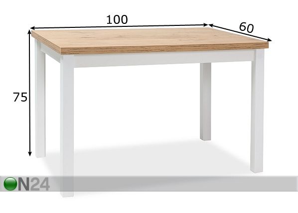 Ruokapöytä Robert 100x60 cm mitat