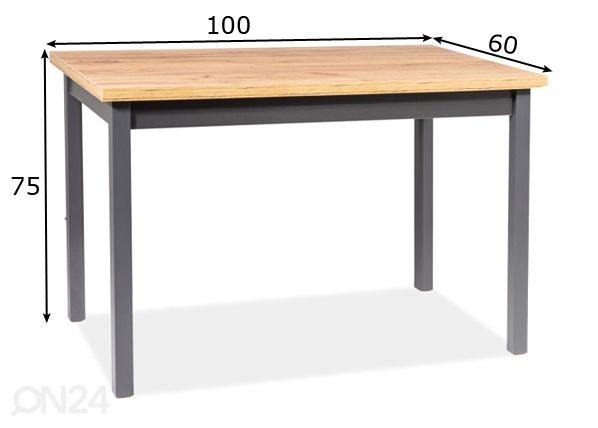 Ruokapöytä Robert 100x60 cm mitat