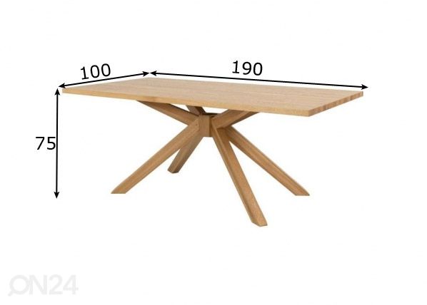 Ruokapöytä Tenzo Across 190x100 cm mitat