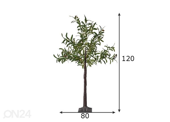 Tekopuu Olivec 120 cm mitat