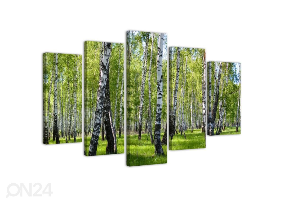 5-osainen sisustustaulu Birch trees 100x70 cm kuvasuurennos