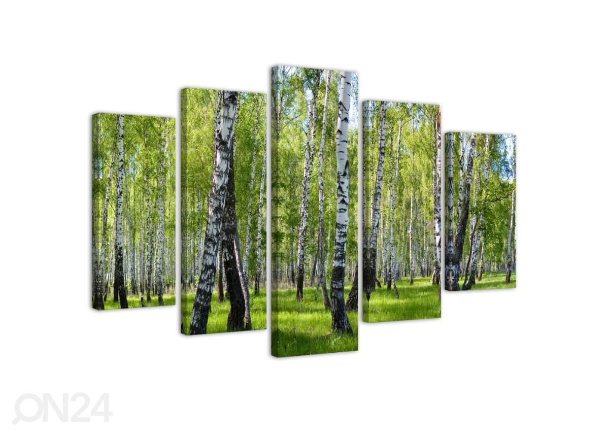 5-osainen sisustustaulu Birch trees 200x100 cm kuvasuurennos