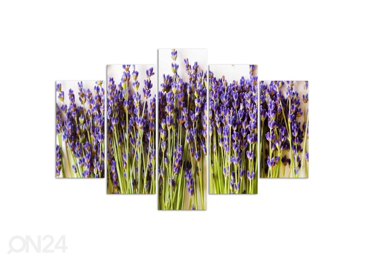 5-osainen sisustustaulu Lavender 150x100 cm kuvasuurennos