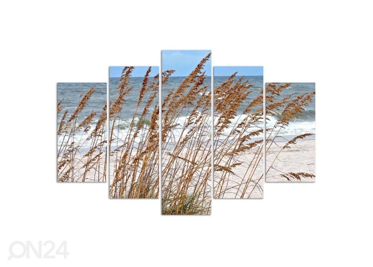 5-osainen taulu Reeds by the Sea 100x70 cm kuvasuurennos