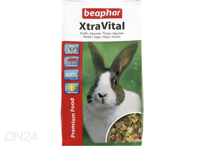 Beaphar XtraVital kuivaruoka kaneille 1 kg kuvasuurennos