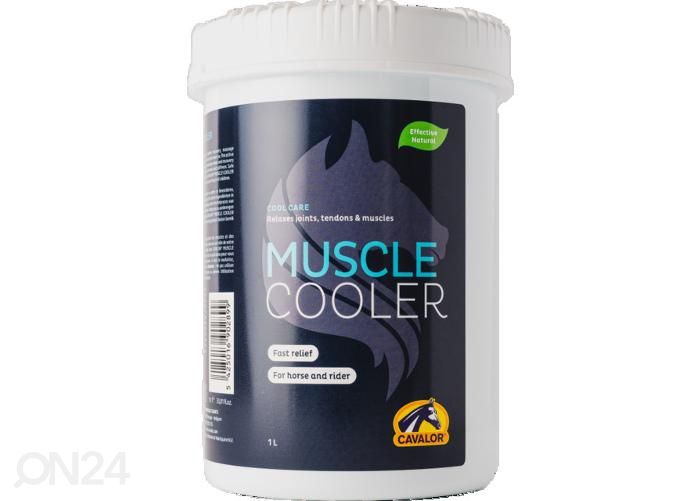 Hevosen kylmägeeli muscle cooler 1 L kuvasuurennos