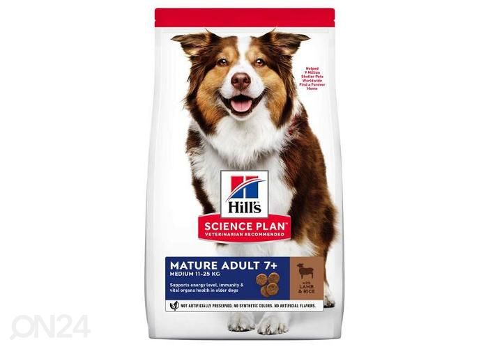 Hill's Science Plan Mature koiranruoka lampaanlihalla keskikokoiselle koiralle 14 kg kuvasuurennos
