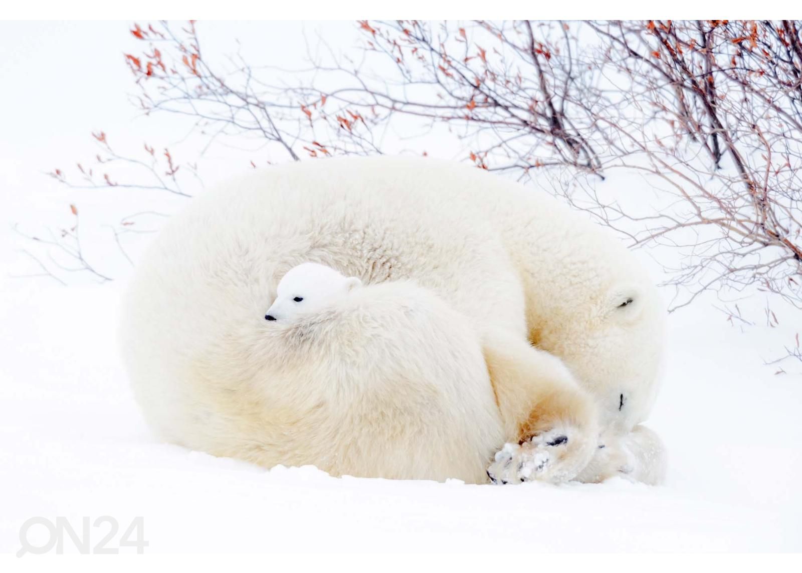 Itsekiinnityvä kuvatapetti Blue Polar Bears kuvasuurennos