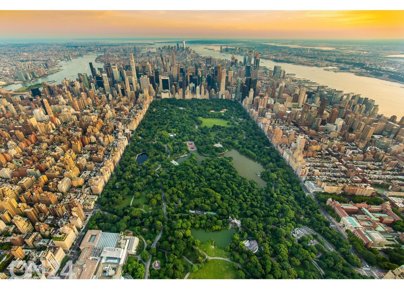 Itsekiinnityvä kuvatapetti New York Central Park kuvasuurennos