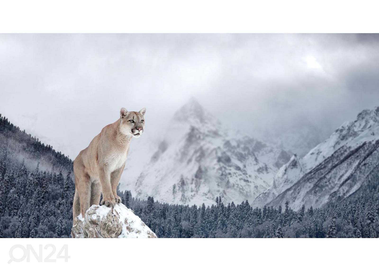 Itsekiinnityvä kuvatapetti Portrait Of A Cougar kuvasuurennos