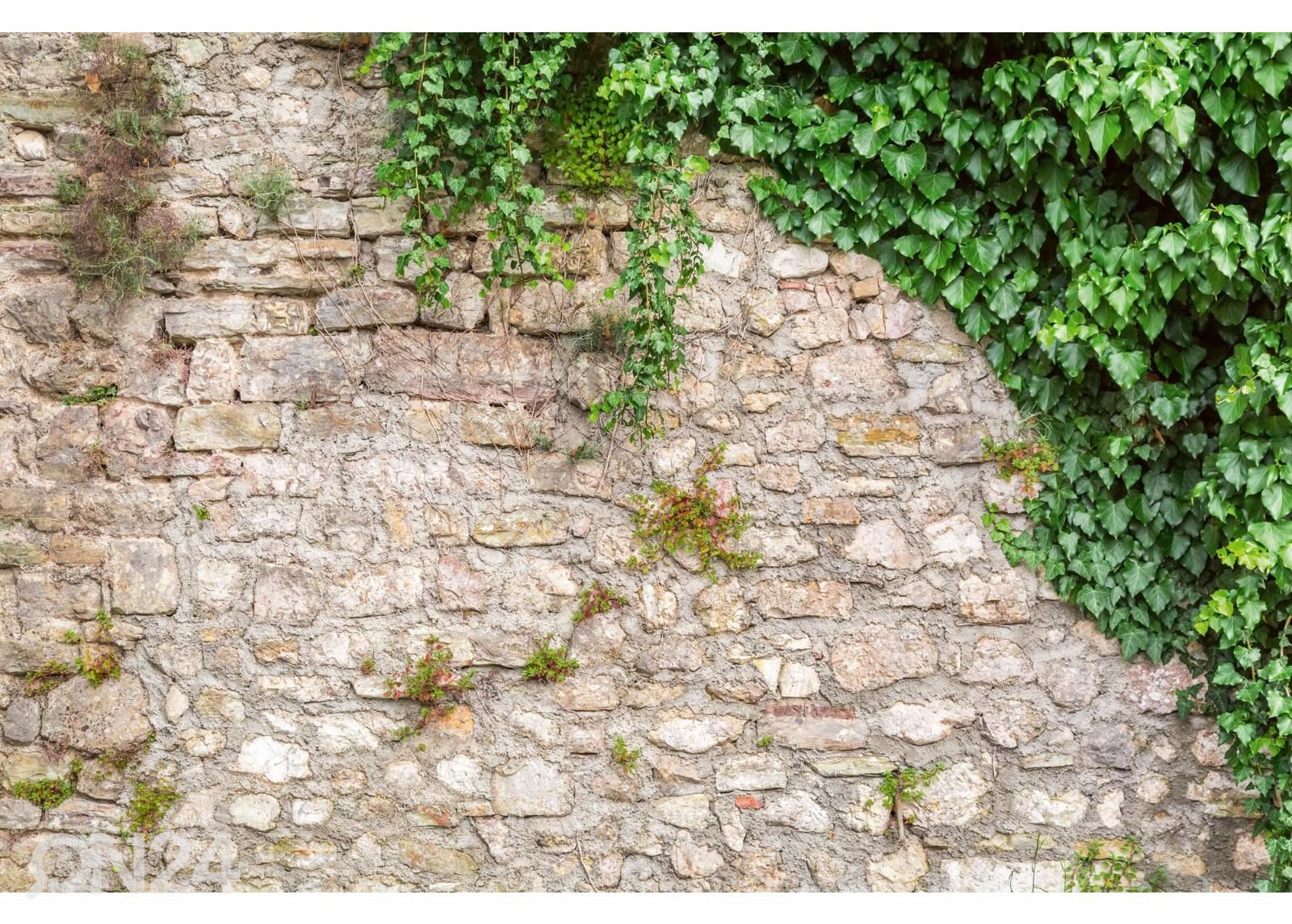Itsekiinnityvä kuvatapetti Stone Wall With Leaves kuvasuurennos
