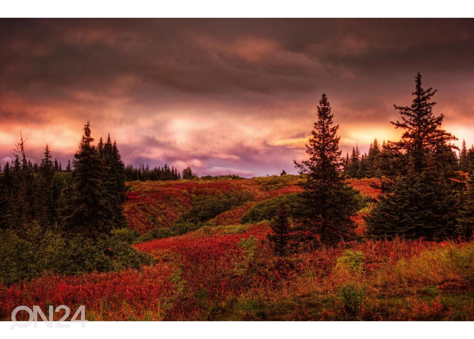 Itseliimautuva kuvatapetti Alaska Sunset kuvasuurennos