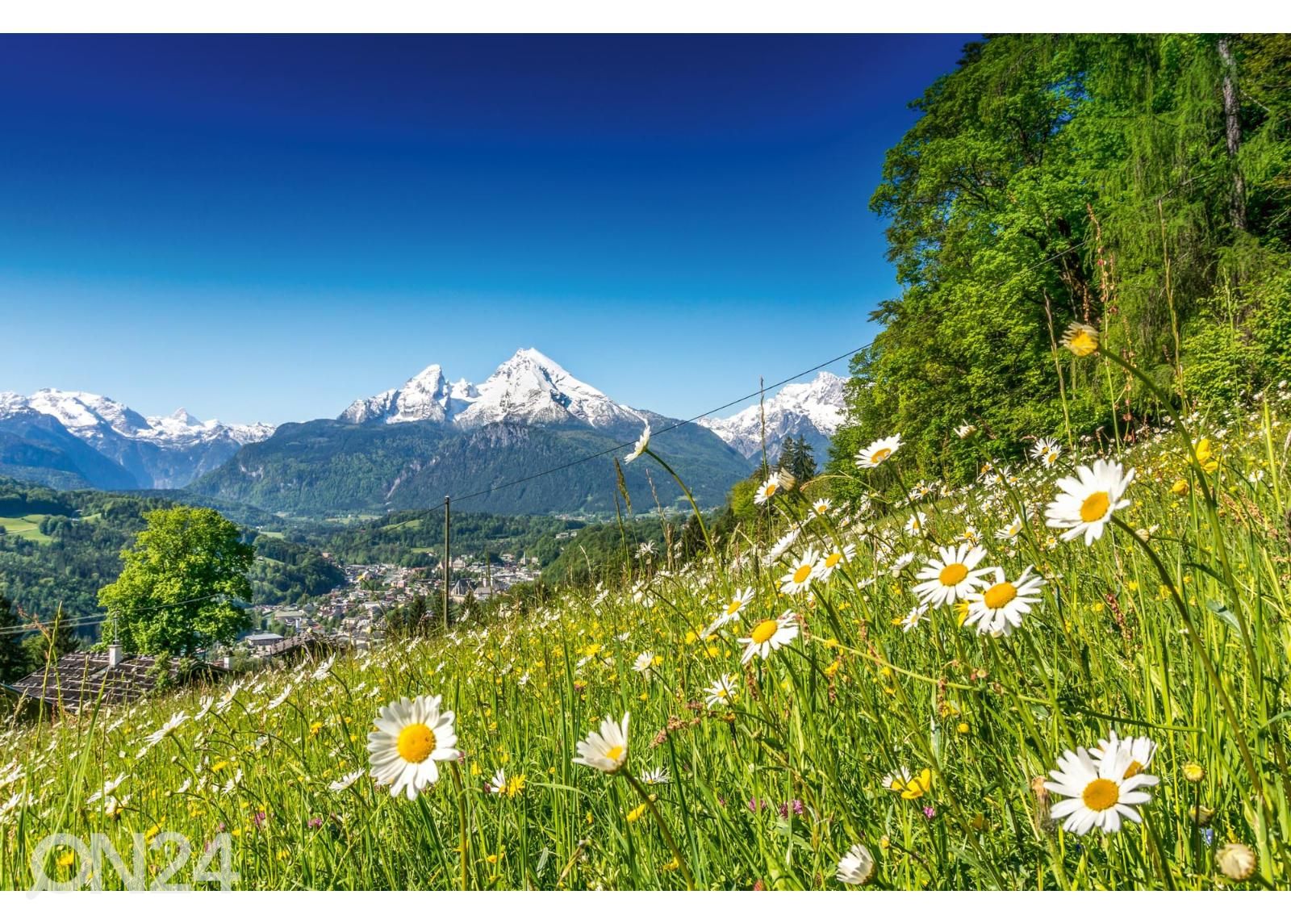 Itseliimautuva kuvatapetti Alpine Landscape kuvasuurennos