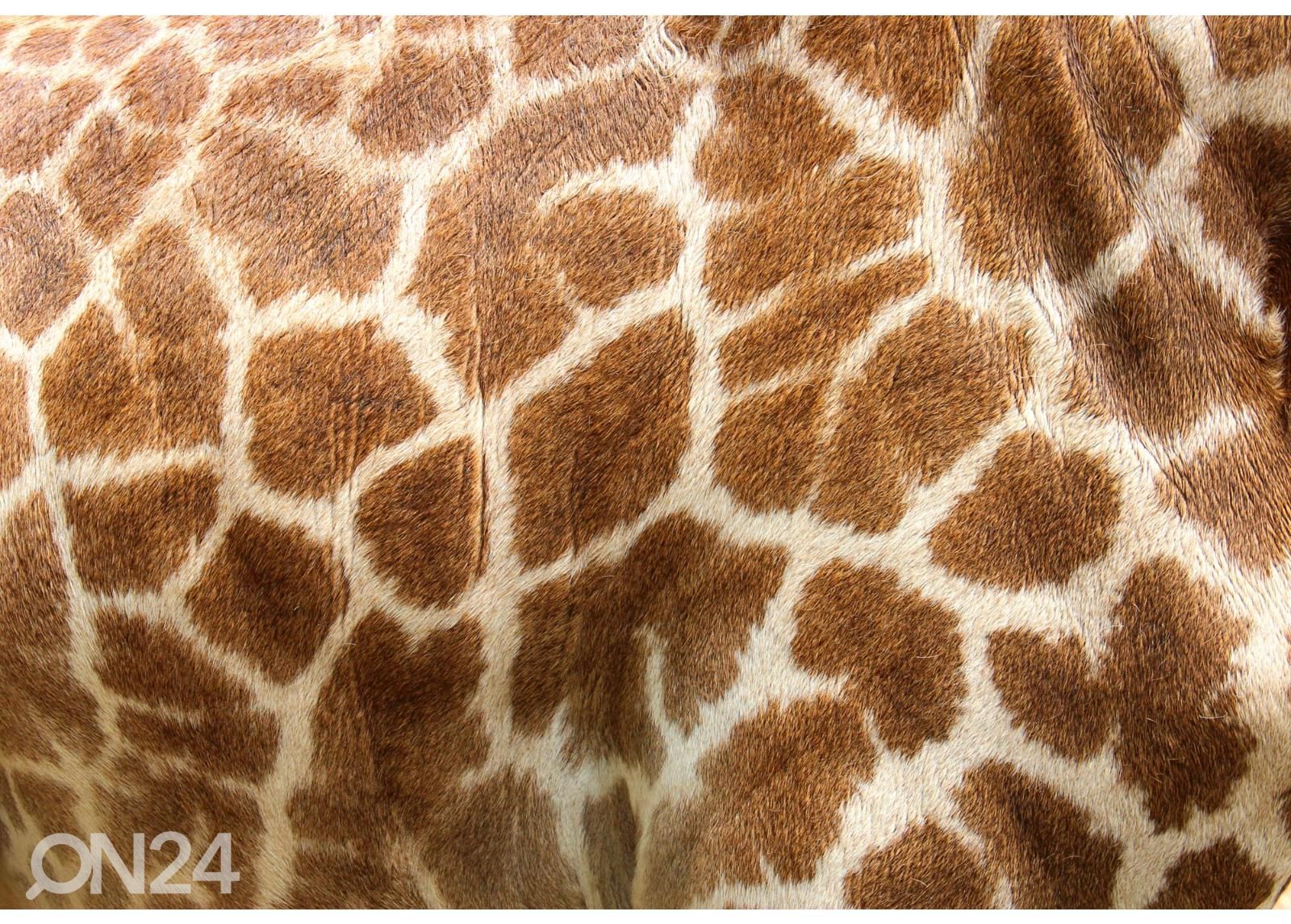 Itseliimautuva kuvatapetti Genuine Leather Of Giraffe kuvasuurennos