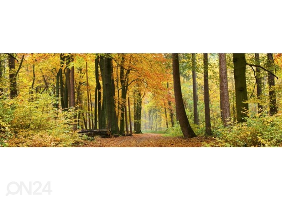 Keittiön välitila Autumn Forest 180x60 cm kuvasuurennos