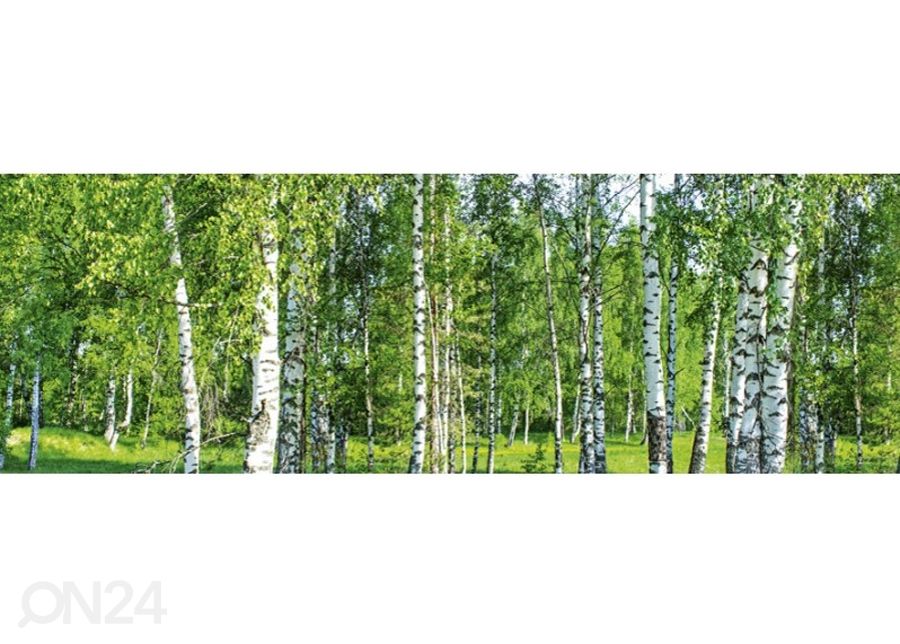 Keittiön välitila Birch Grow 180x60 cm kuvasuurennos