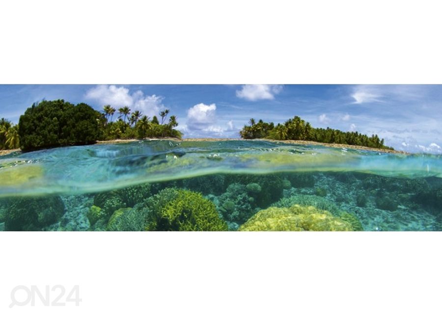 Keittiön välitila Coral Reef 180x60 cm kuvasuurennos