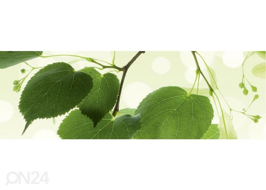 Keittiön välitila Green leaves 180x60 cm kuvasuurennos