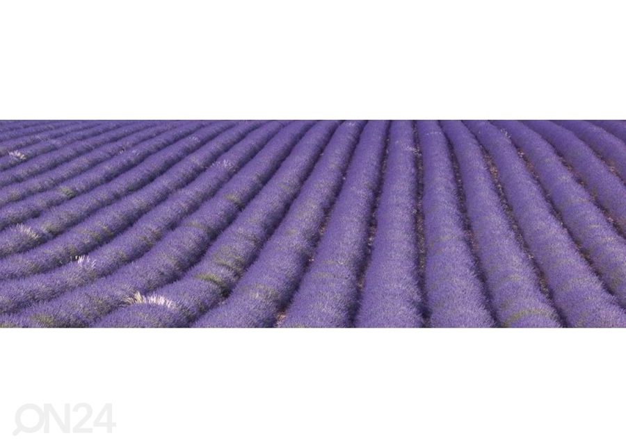 Keittiön välitila Lavender field 180x60 cm kuvasuurennos