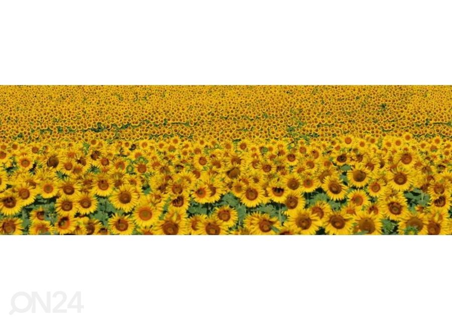 Keittiön välitila Sunflowers 180x60 cm kuvasuurennos