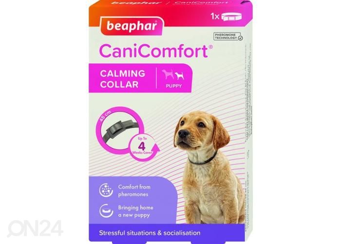 Koiranpennun kaulapanta Beaphar Comfort Collar Puppy 45 cm kuvasuurennos