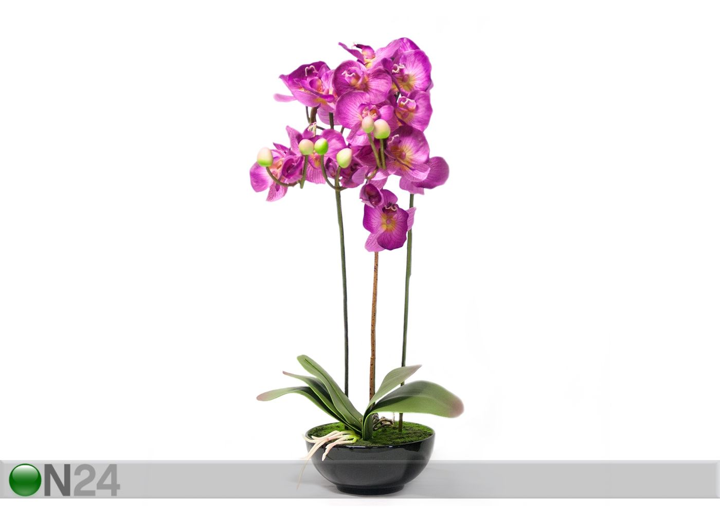Koristekasvi vaaleanpunainen vaaleanpunainen Orkidea 72 cm kuvasuurennos