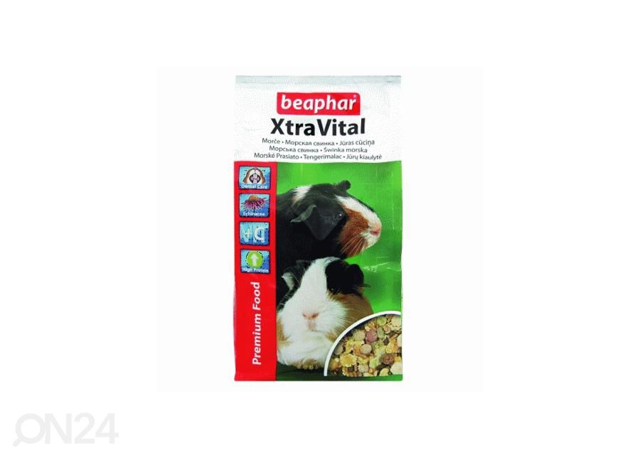 Kuivaruoka Beaphar Extra Vital Guinea Pig marsuille 2,5 kg kuvasuurennos