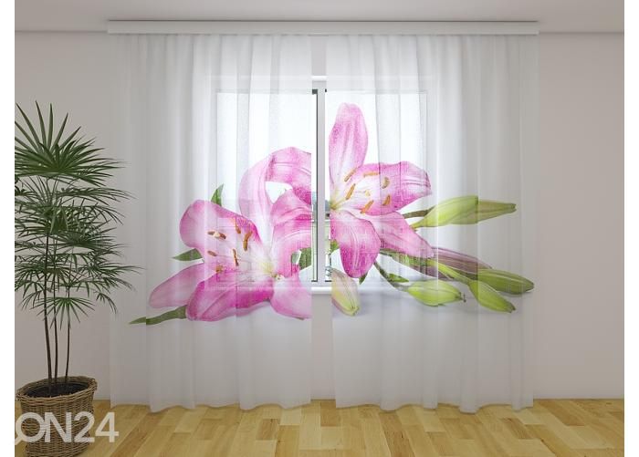 Läpinäkyvä kuvaverho Big Pink Lilies 240x220 cm kuvasuurennos