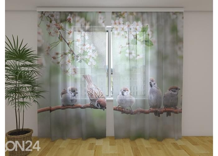 Läpinäkyvä kuvaverho Small Birds on a Blooming Tree 240x220 cm kuvasuurennos
