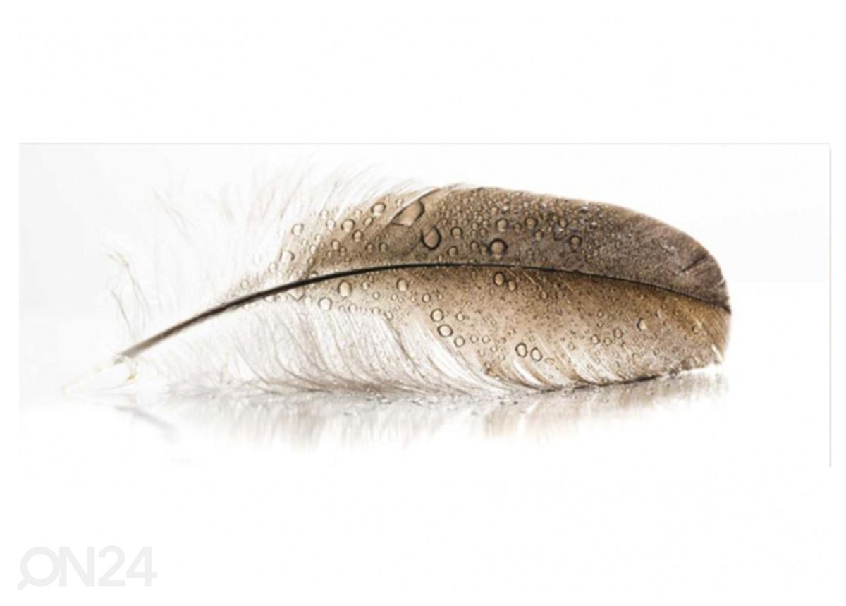 Lasikuva Feather 125x50 cm kuvasuurennos