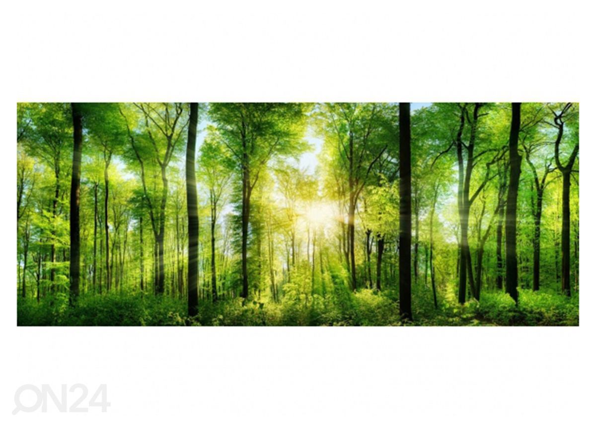 Lasikuva Forest 125x50 cm kuvasuurennos