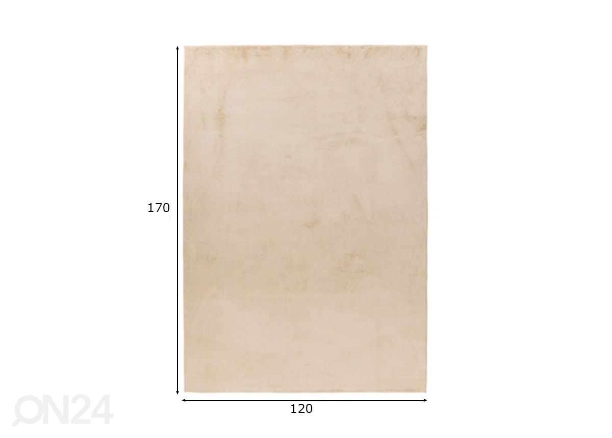 Matto LOFT Beige 120x170 cm kuvasuurennos mitat