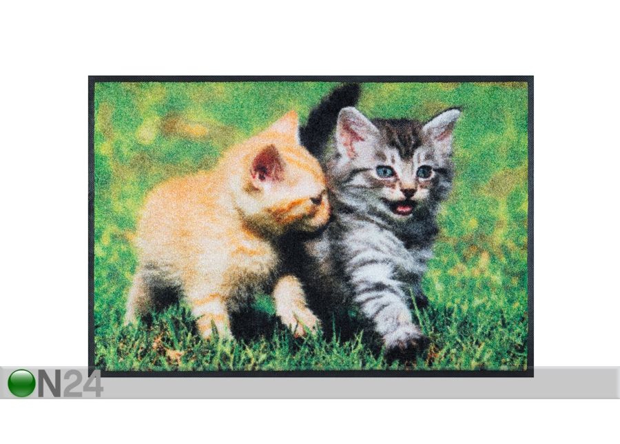 Matto LOVELY CATS 50x75 cm kuvasuurennos