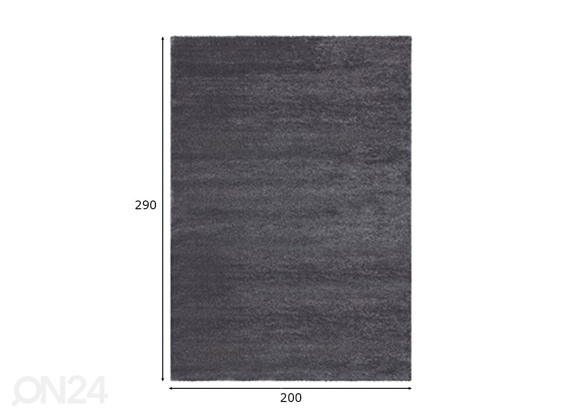 Matto Soft Touch Grey 200x290 cm kuvasuurennos mitat