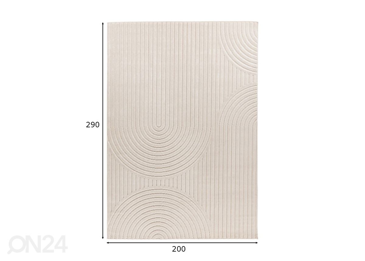 Matto Viva Ivory 200x290 cm kuvasuurennos mitat