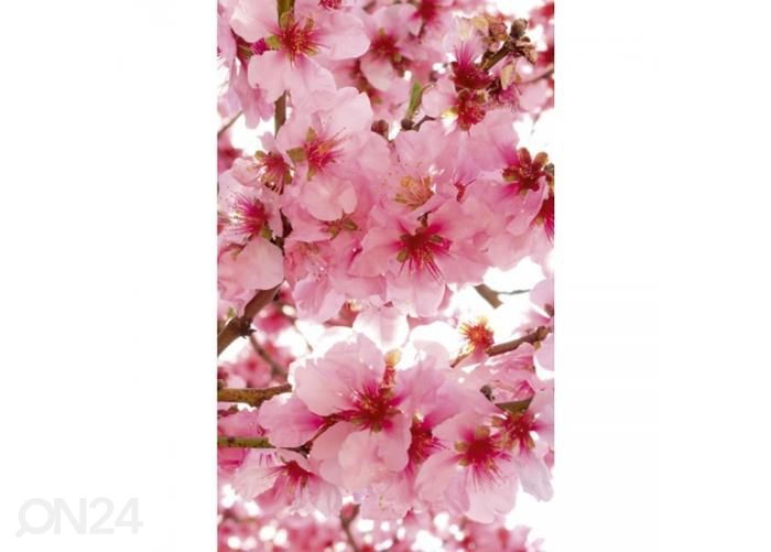 Non-woven kuvatapetti Apple blossom 150x250 cm kuvasuurennos