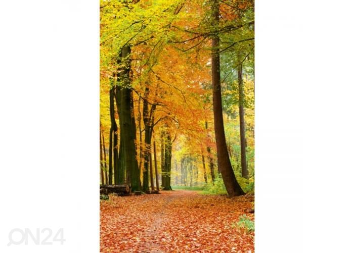 Non-woven kuvatapetti Autumn forest 150x250 cm kuvasuurennos