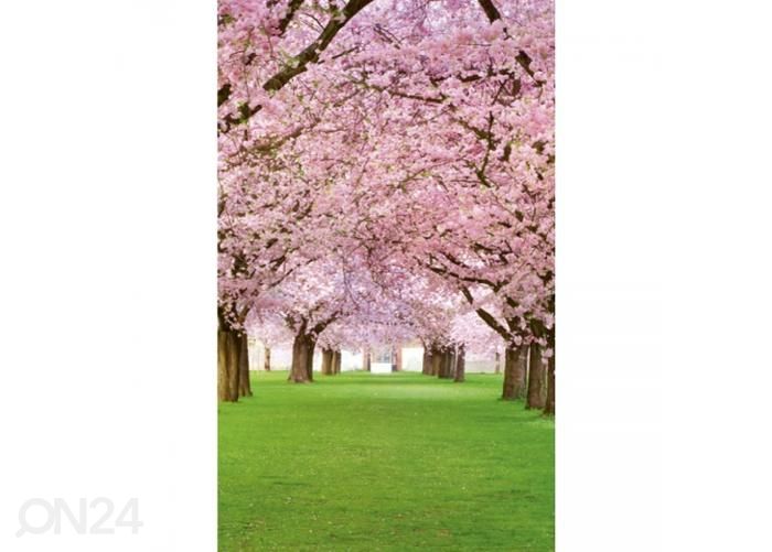Non-woven kuvatapetti Cherry trees 150x250 cm kuvasuurennos