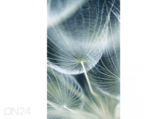 Non-woven kuvatapetti Dandelion macro 150x250 cm kuvasuurennos
