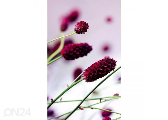 Non-woven kuvatapetti Floral violet 150x250 cm kuvasuurennos