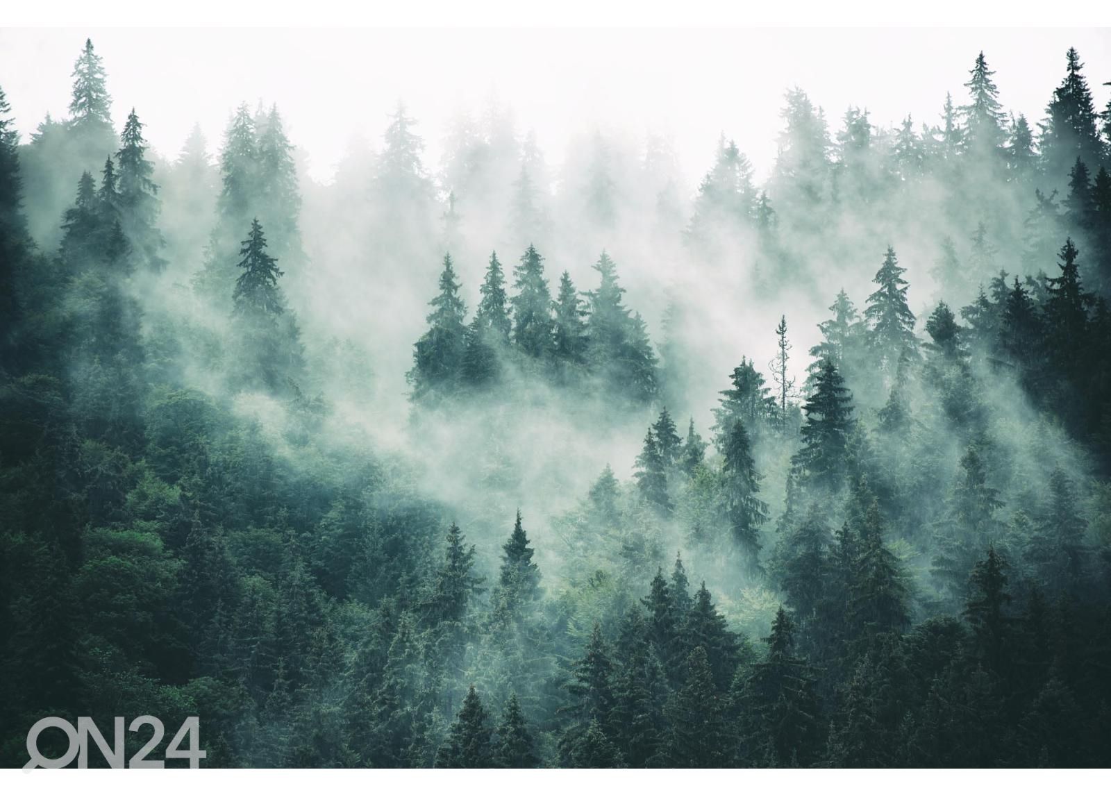 Non-woven kuvatapetti Foggy Forest kuvasuurennos