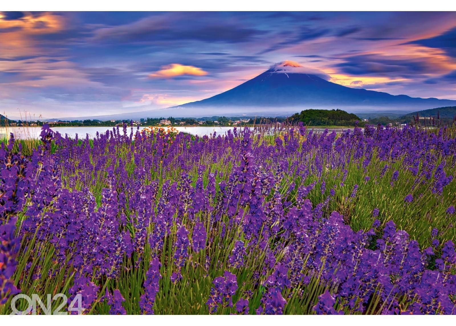 Non-woven kuvatapetti Fuji Mountain And Lavender kuvasuurennos