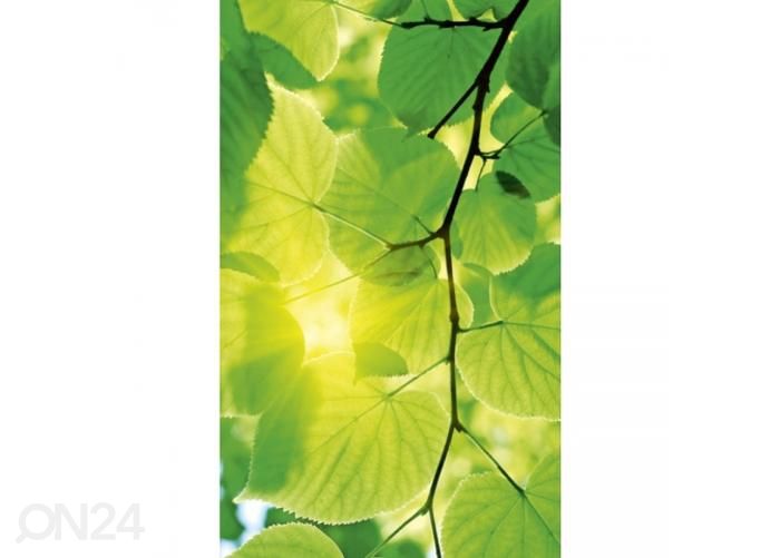 Non-woven kuvatapetti Green leaves 150x250 cm kuvasuurennos