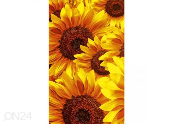 Non-woven kuvatapetti Helianthus 150x250 cm kuvasuurennos