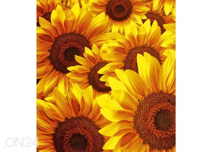 Non-woven kuvatapetti Helianthus 225x250 cm kuvasuurennos