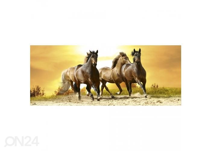 Non-woven kuvatapetti Horses in sunset 150x250 cm kuvasuurennos